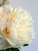 Peony for Your Thoughts | Handcrafted Paper Peony Bouquet