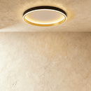 Esperanza Ceiling Light