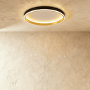 Esperanza Ceiling Light