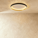 Esperanza Ceiling Light