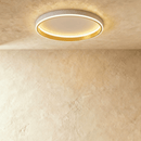 Esperanza Ceiling Light