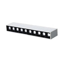 Estoa Downlight