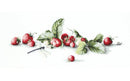 Etude with Strawberries B2254L Counted Cross-Stitch Kit