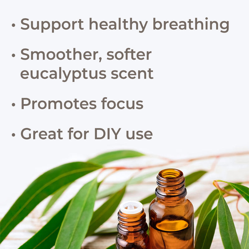 Eucalyptus Radiata Essential Oil