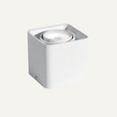 Eugenia Downlight