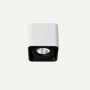 Eugenia Downlight