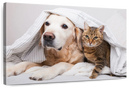 Cozy Dog And Cat Wall Art