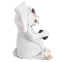 Jacked Rabbit
