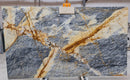 Explosion Blue Bookmatching Marble Slabs Polished - Full Truckload 1 slab front view