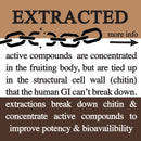 adaptive cacao. performance superfood.