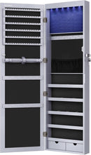 47.2 Inch Tall Lockable Jewelry Cabinet With Mirror Gray
