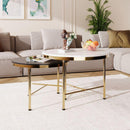 Modern Round Nesting Coffee Table Set 2-Piece Black & White Sintered Stone Top Gold Base in 23.6"&17.7"