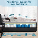 Industrial Grade Size Memory Foam Hybrid Mattress Stability Pro Plus