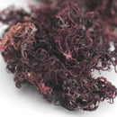 Full Spectrum Purple Sea Moss - Raw & Wildcrafted