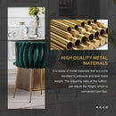 Velvet Dining Chairs Set of 4 With Gold Metal Legs in Green