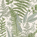 Ferns Botanical Light Wallpaper