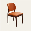 Ferro Dining Chair
