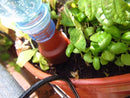 Blumat Easy + Bottle Adapter