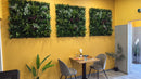 Artificial Plants Green Wall Panel - AMAZONIA - 3.3' x 3.3' - | DECKO VERDURE (10.89 sq. feet panel)