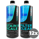 Pool Filter Clean & Stain and Scale Combo