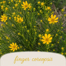 Front Yard Friendly Live Plant Landscape Kit | Prairie Legacy Inc.