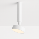 Fionn Ceiling Light