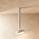Fionn Ceiling Light