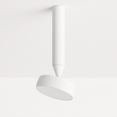 Fionn Ceiling Light