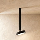 Fionn Ceiling Light