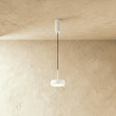 Fionn Pendant Light
