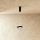 Fionn Pendant Light