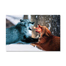 Fire vs Ice Canvas