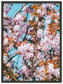 Floral - Print
