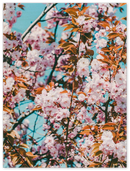 Floral - Print