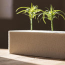 Flower Mud Dry Flower Foam Brick Set of 3
