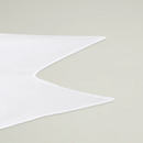 Custom Burgee Flag