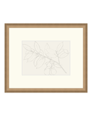 Lemon Branch Drawing