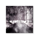 Forest Path Canvas