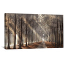 Forest Strolls Canvas