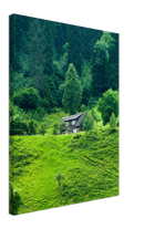 Forest House - Print