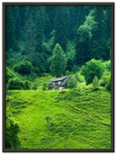 Forest House - Print