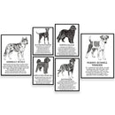 Framed black and white dog breed poetry poster set living room decor