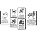 Framed black and white dog breeds poster set bedroom wall art