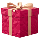 Mystery Gift