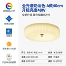 French cream wind ribbed glass ceiling lamp bedroom chrome fixture