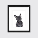 The Frenchie - Open Edition Paper Print