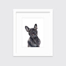 The Frenchie - Open Edition Paper Print
