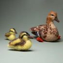 Friendly family V-128C