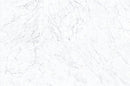 Frontier20 Michelangelo Extra White Coping & Stair Tread Bullnose Marble Look Porcelain Moldings 12x24