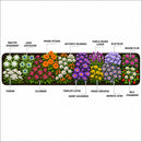 Front Yard Friendly Live Plant Landscape Kit | Prairie Legacy Inc.